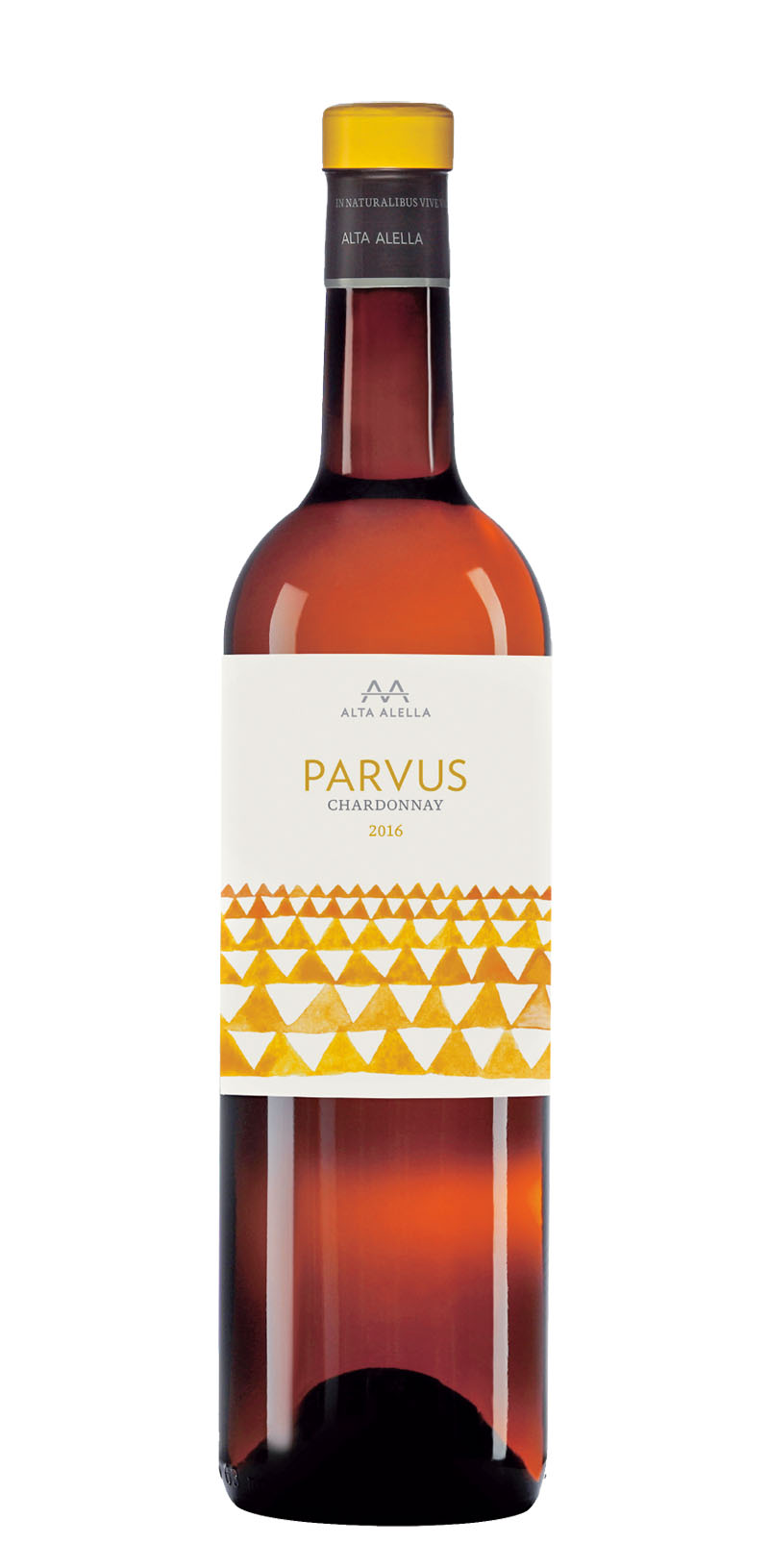 AA PARVUS CHARDONNAY 2016 copia